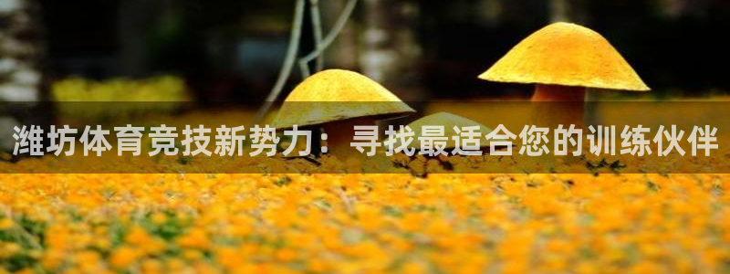 k1体育棋牌网址