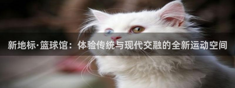 k1体育平台最新网站下载
