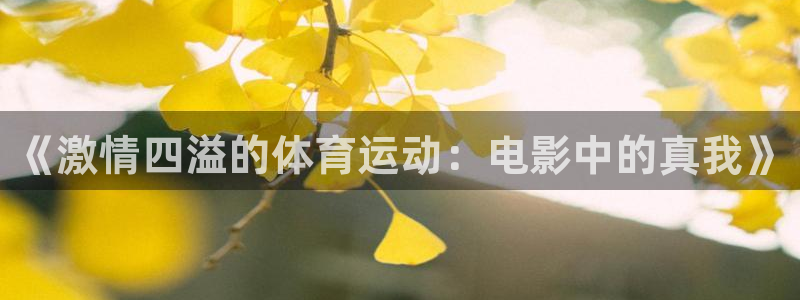 k1体育平台下载