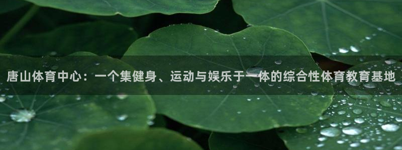 k1体育下载链接