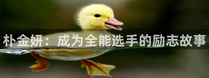 k1体育网址
