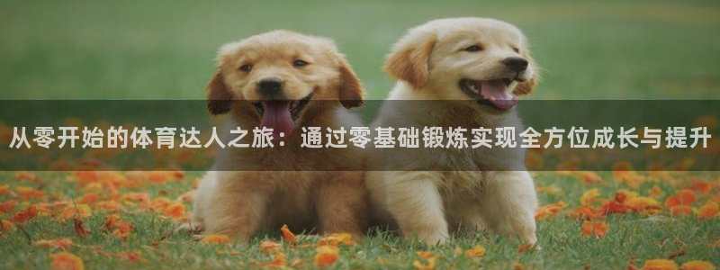 k1体育平台3915