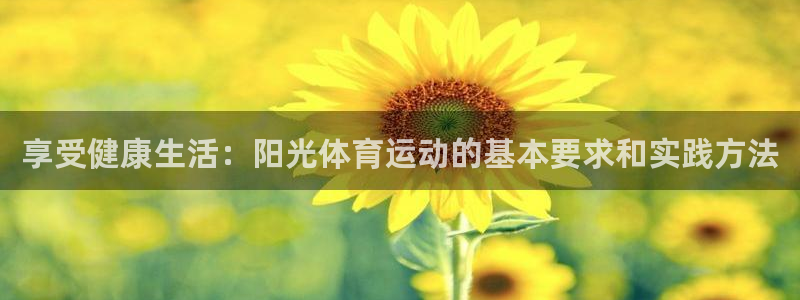 k1体育十年平台