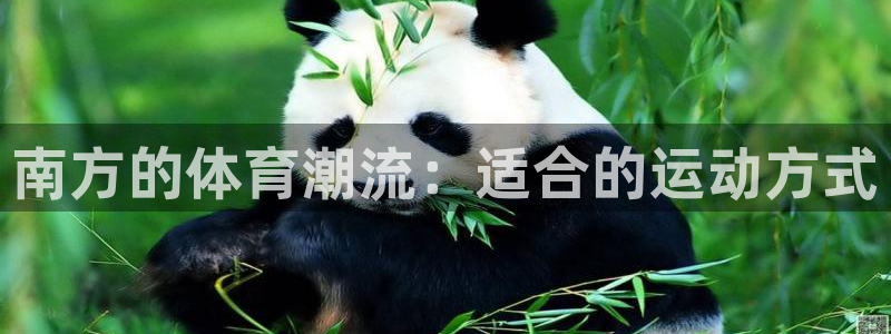 k1体育平台最新网站下载