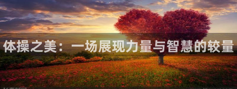 k1体育app官网登录入口