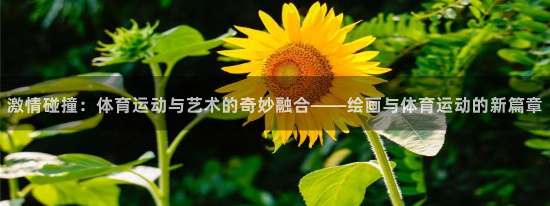 k1体育网站登录官网