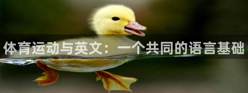 k1体育娱乐