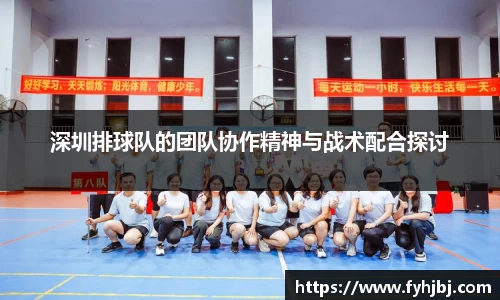 深圳排球队的团队协作精神与战术配合探讨